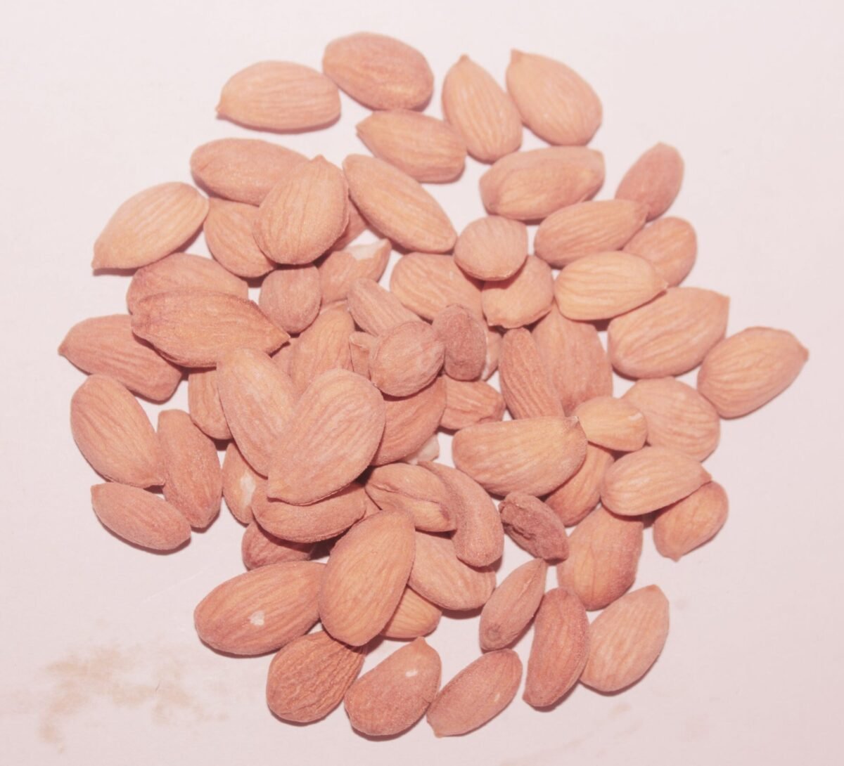 Kashmiri Mamra Badaam (Kernals) - 500g - Image 3