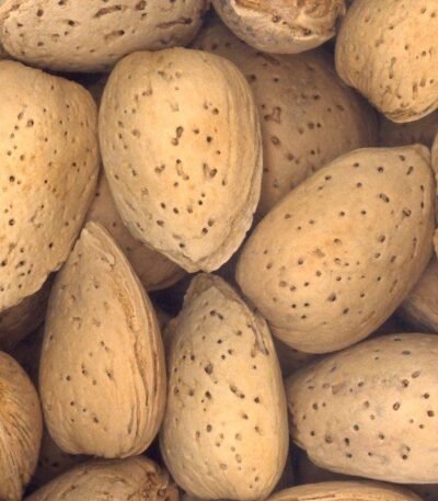 Kashmiri ALMONDS