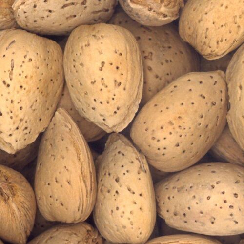 Kashmiri Almonds – 1000 grams
