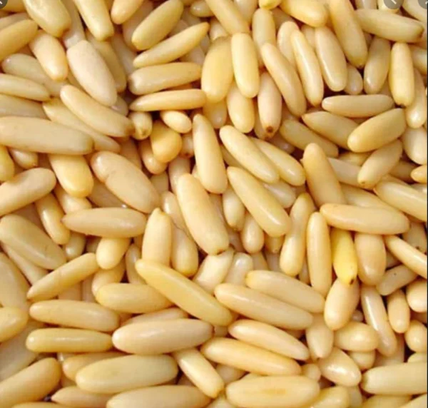 Chilgoza Nuts ( Pine Nuts) Kernels 250g - Image 4
